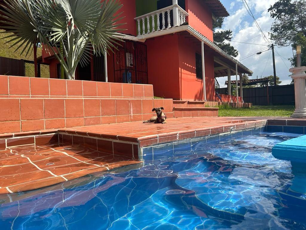 Finca Hotel La Bonita Guatapé Eksteriør billede